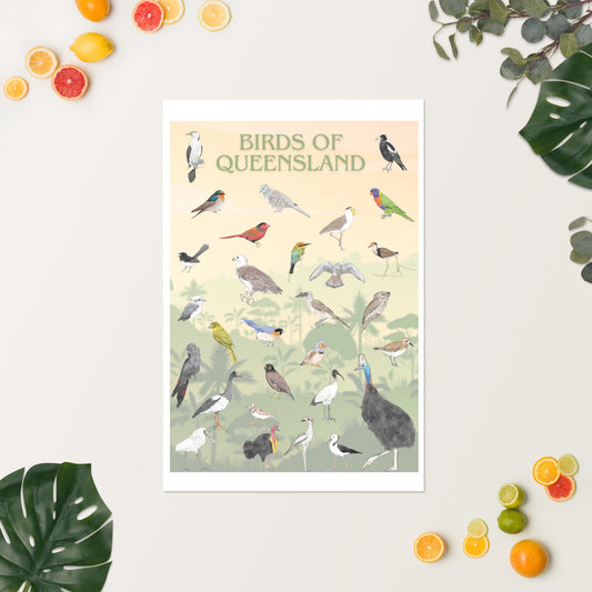 Birds of Queensland Poster