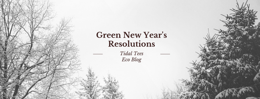 Green New Year's Resolutions