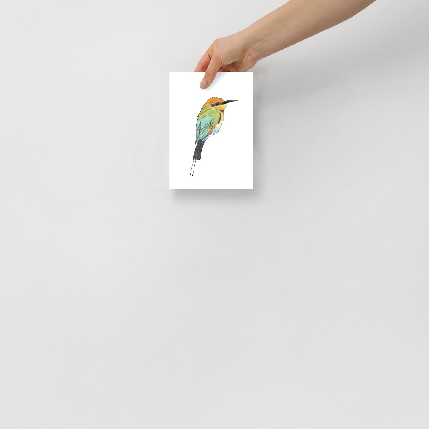 Rainbow Bee-eater Print