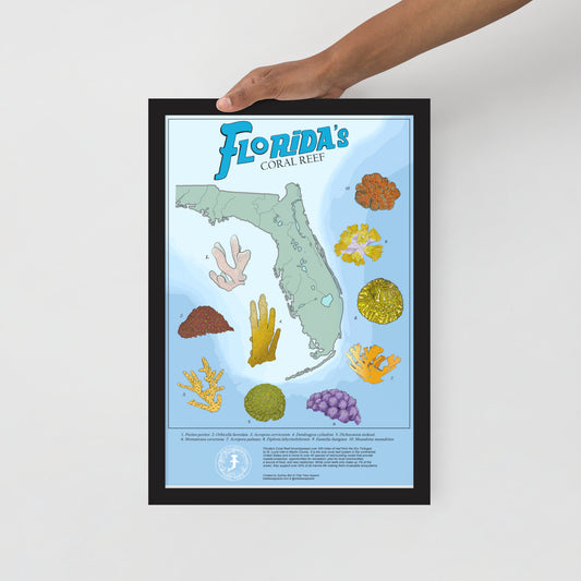 Framed Florida's Coral Reef Poster