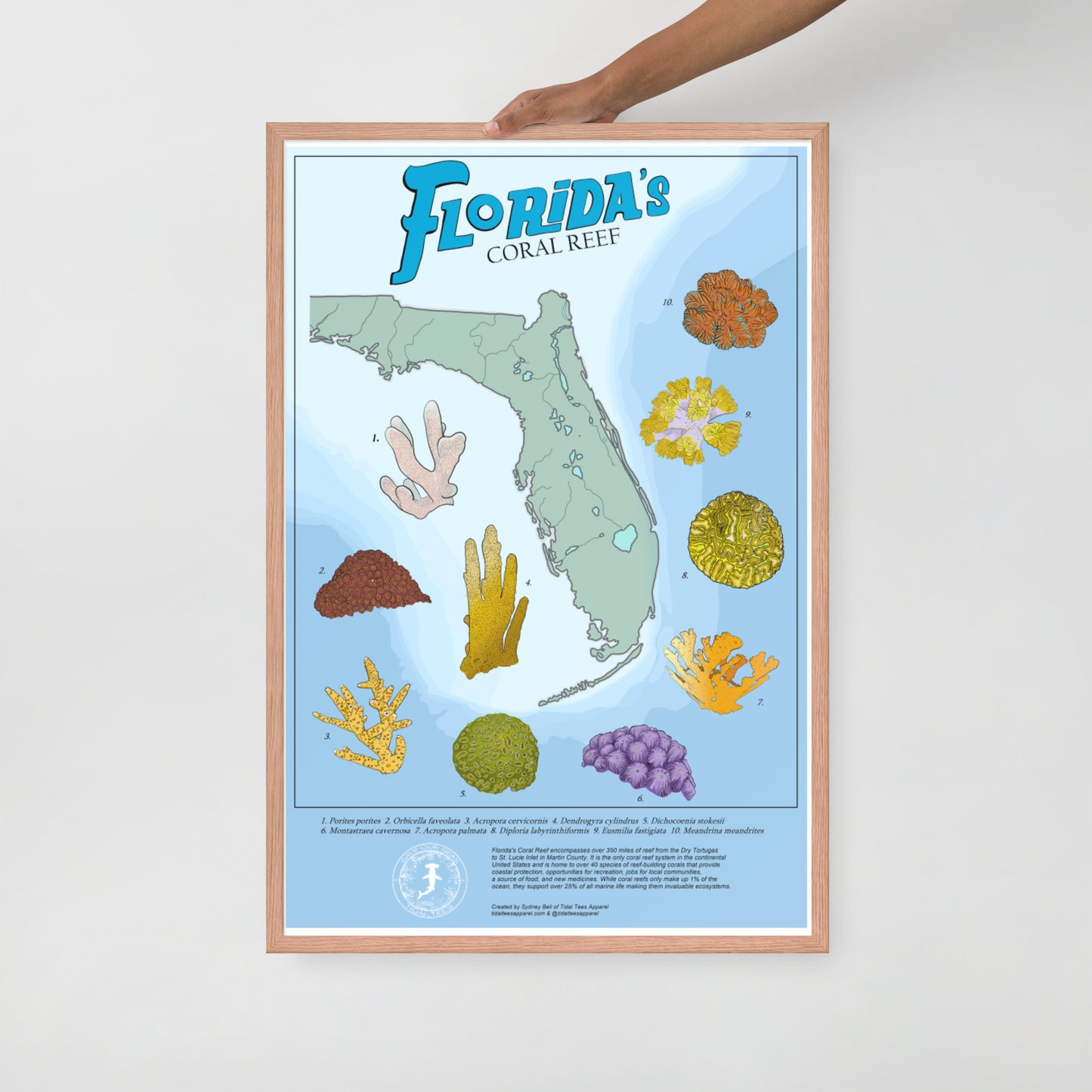 Framed Florida's Coral Reef Poster