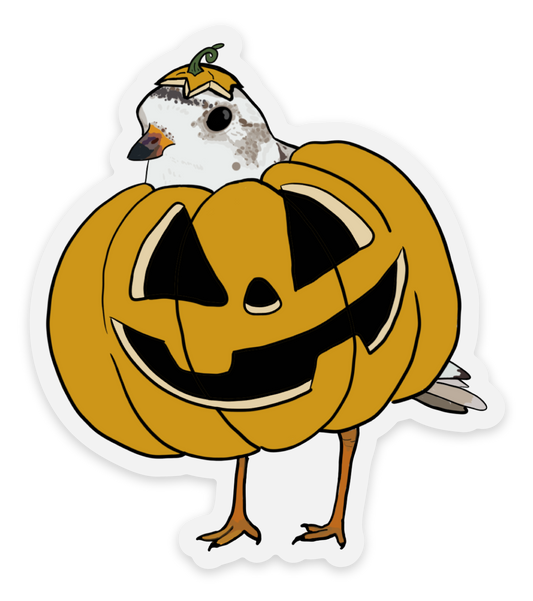 “Pumpking” Plover Decal