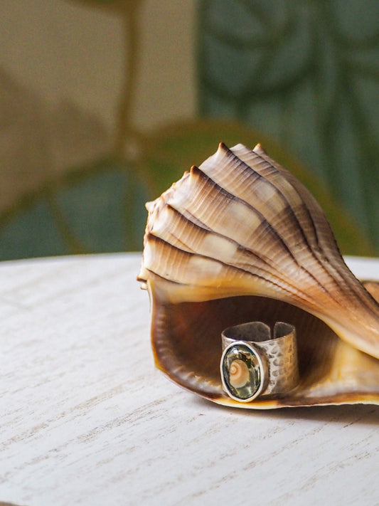 Shell Kelp Ring
